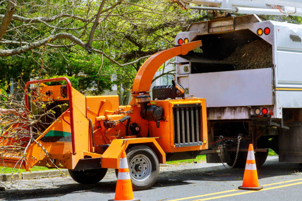 Best Hazardous Tree Removal  in Fredericktown, OH